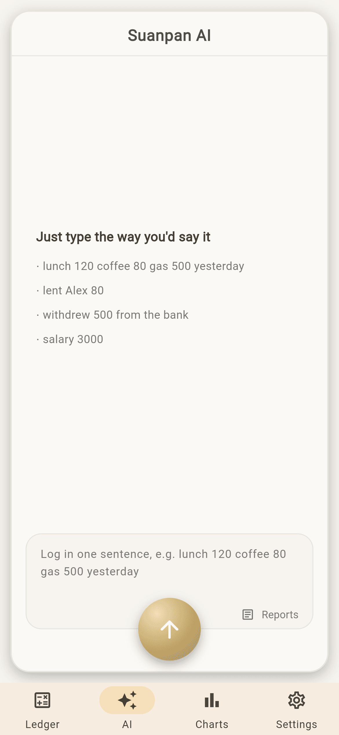 The AI chat. Type the way you would say it — lending, wages, card payments all land correctly.